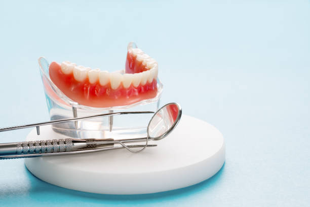 Professional Holistic Dental Care Services in West Allis, WI